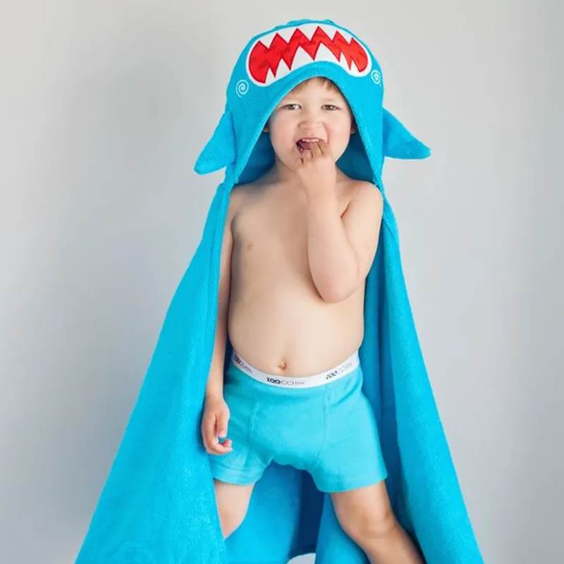 ZOOCCHINI